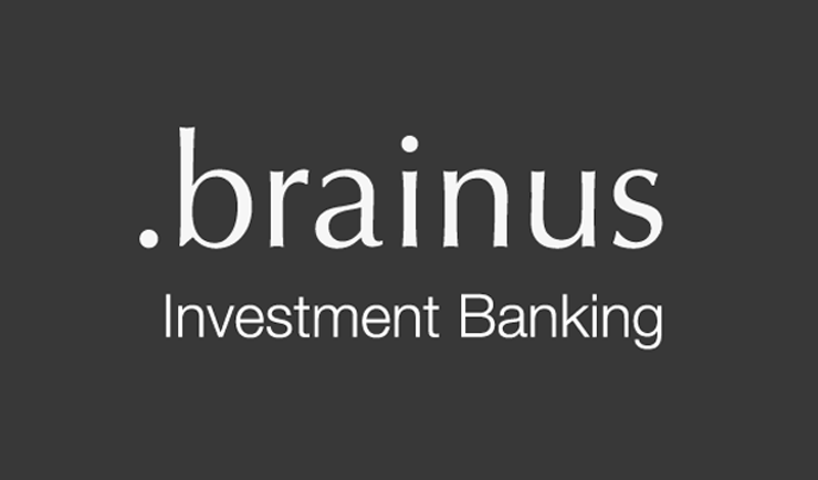 brainus GmbH
